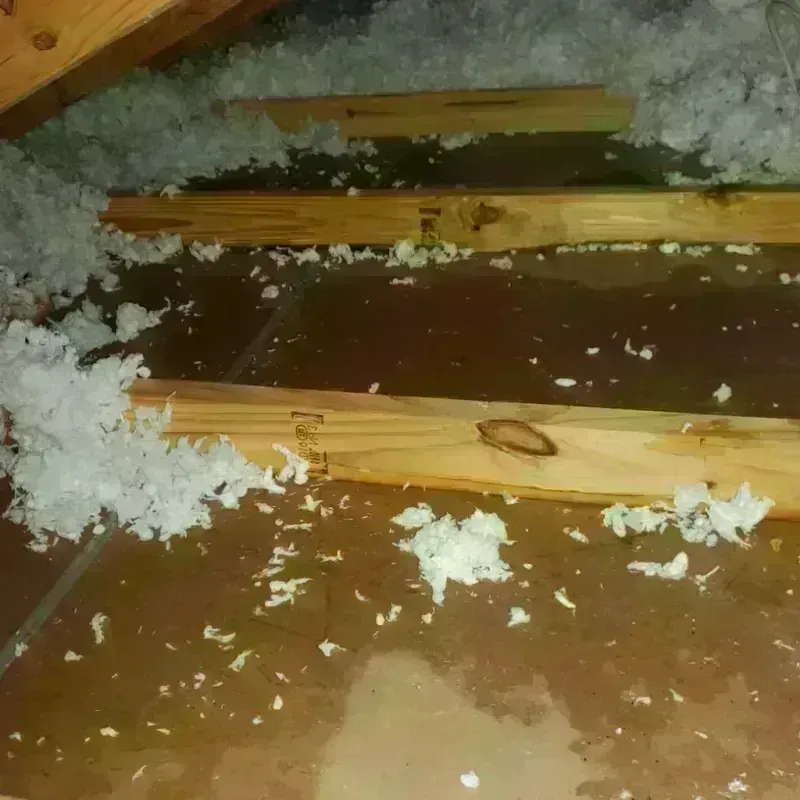 Attic Water Damage in Washita County, OK